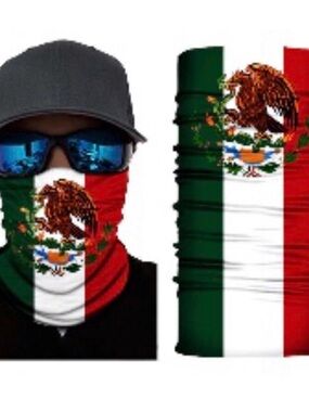 Mexican Flag Neck Gaiter Face Cover - Green White Red